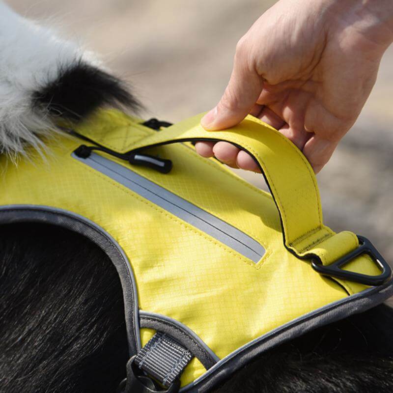 Maliben | Multifunctional explosion-proof anti-pull harness for medium to large dogs harness