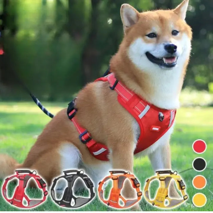 Maliben | No-Pull Dog Harness with Reflective Nylon