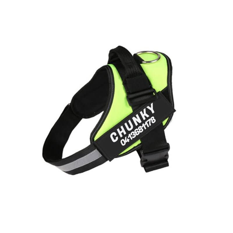 Maliben | Personalisable dog harness for comfort & safety