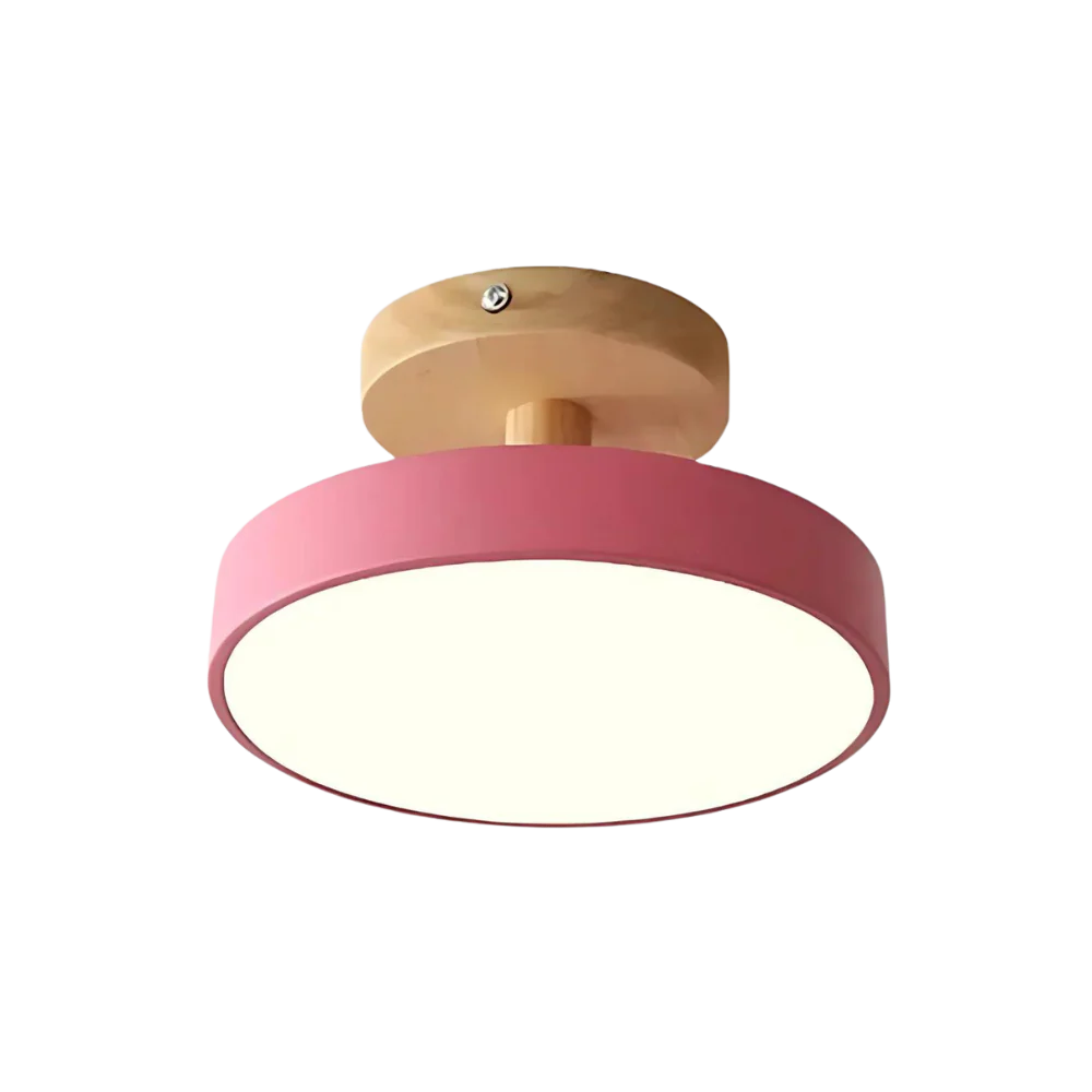 Maliben | Compact Modern Led Ceiling Lamp