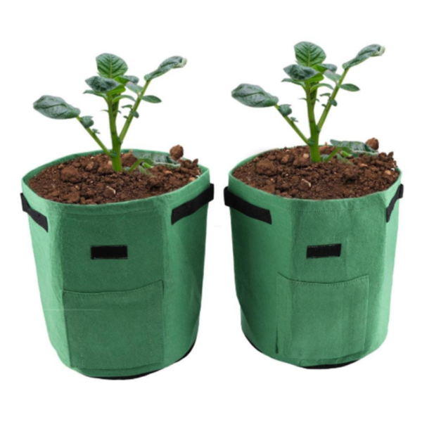 Maliben | Potato Plant Bag