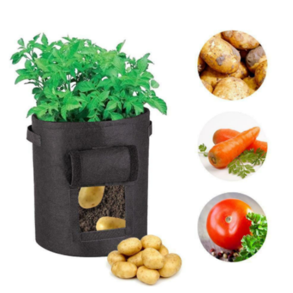 Maliben | Potato Plant Bag