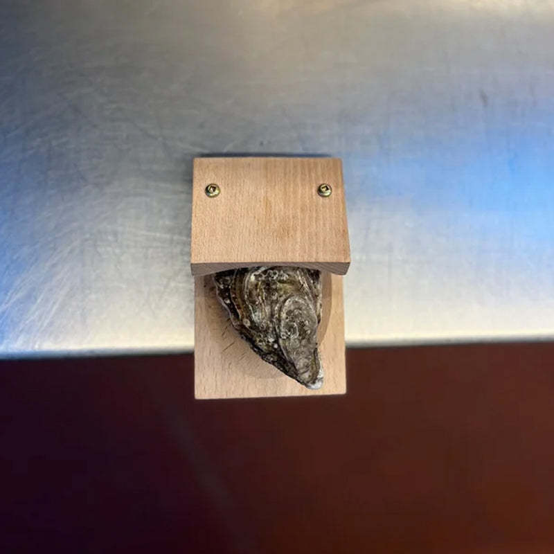 Maliben | Premium wood handle oyster shell opener clamp