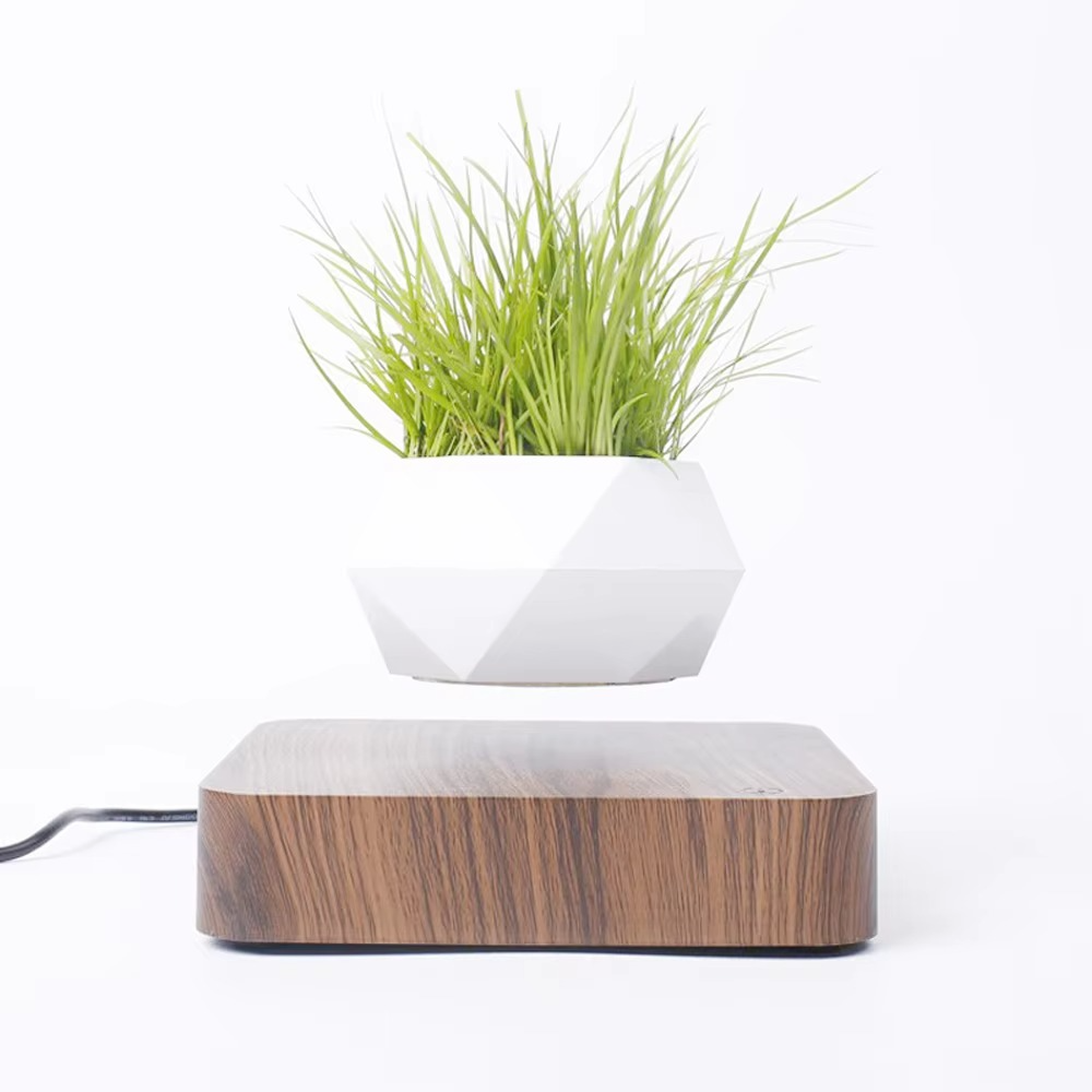 Maliben | Magnetic Levitating Bonsai Planter, Floating Flower Pot For Home And Office Décor