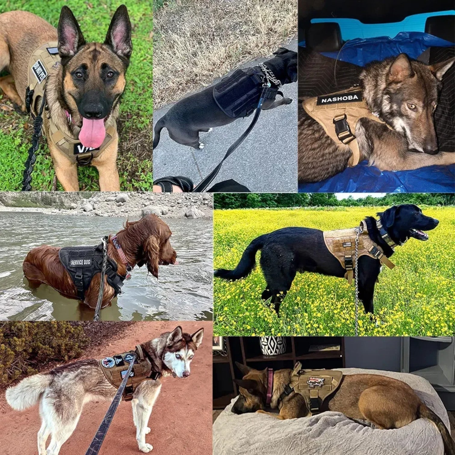 Maliben | KrachtGrip Dog Harness – Adjustable Tactical Harness for Training & Walks