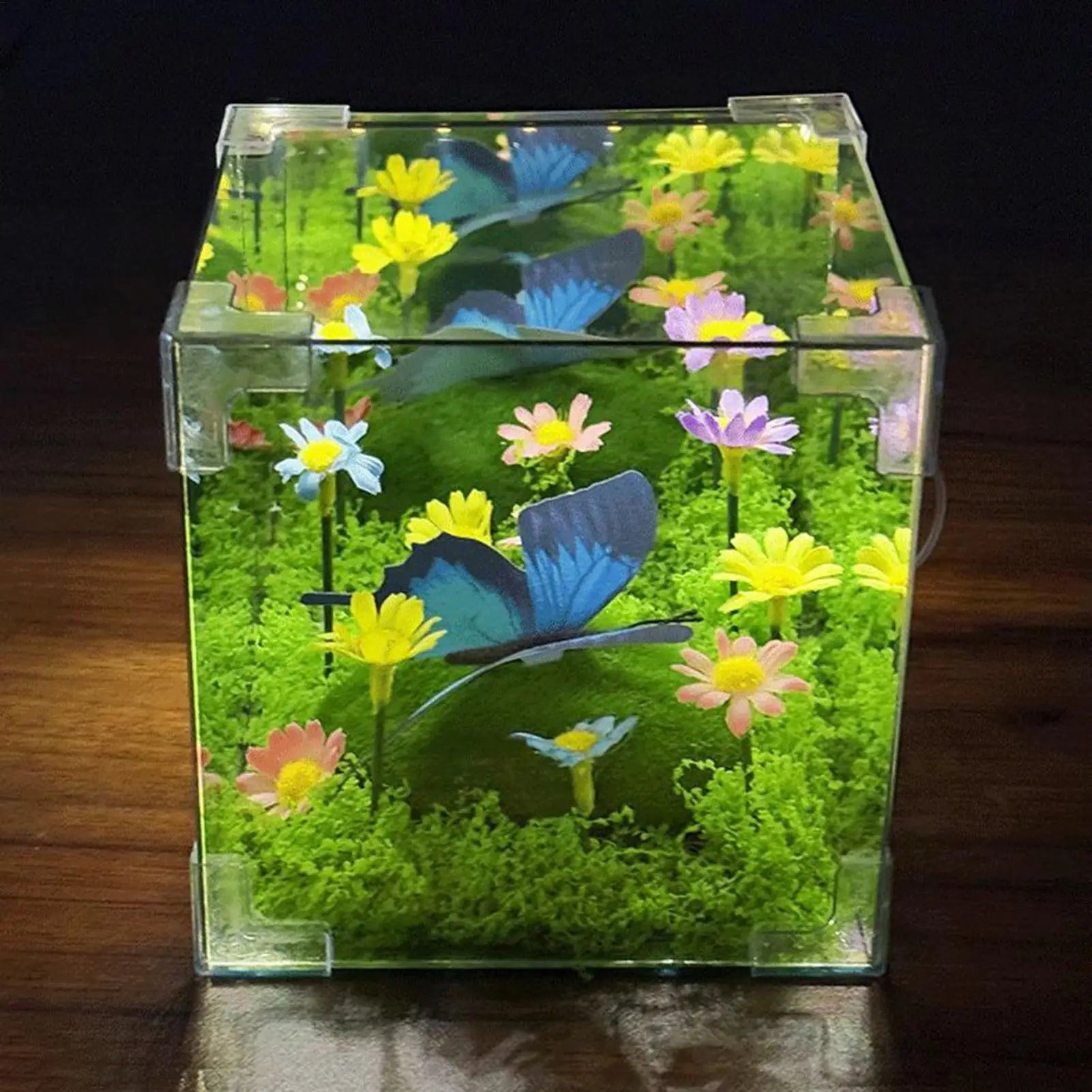 Maliben | Led Butterfly Garden Cube Night Light Decor