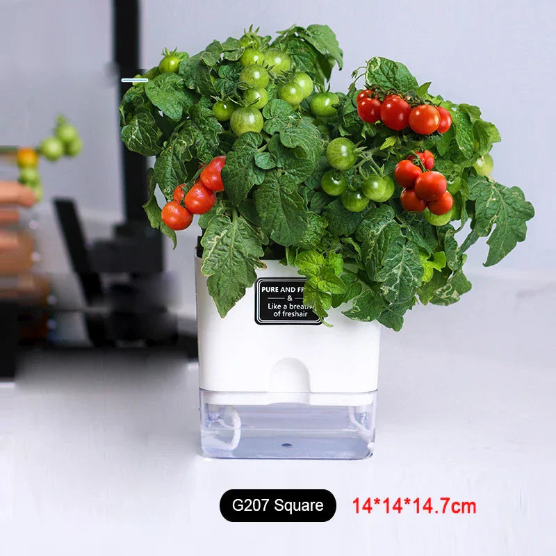 Maliben | Plant Pot Bloomease | Self-Watering & Space-Saving | With Water Level Indicator | For Indoor Plants & Herbs