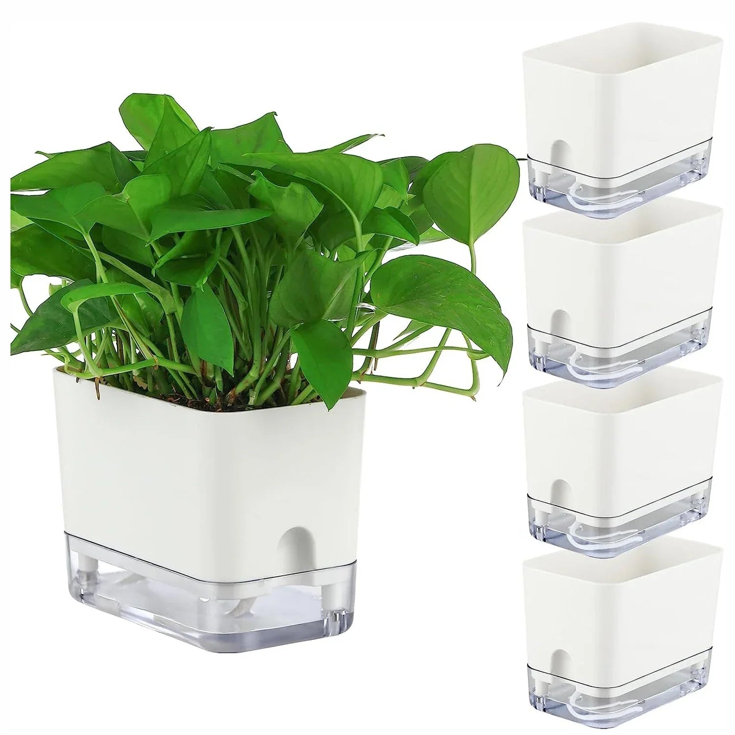 Maliben | Plant Pot Bloomease | Self-Watering & Space-Saving | With Water Level Indicator | For Indoor Plants & Herbs