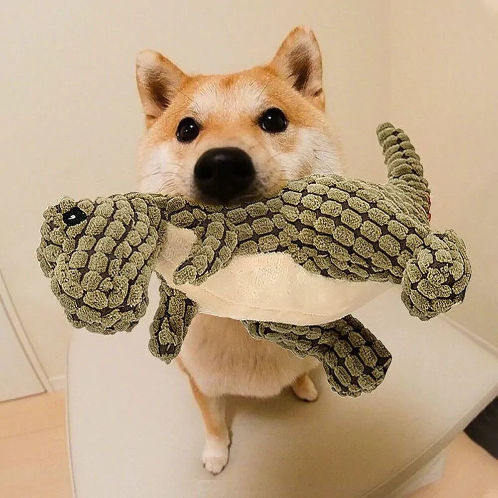Maliben | Rexxy Dog Toy (1+1 Free)