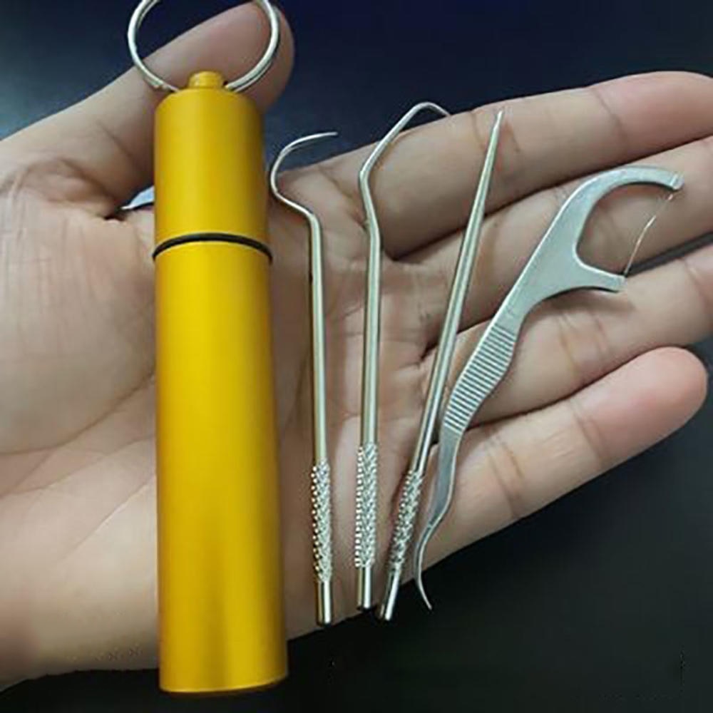 Maliben | Minty Portable Metal Toothpick Cleaner Set