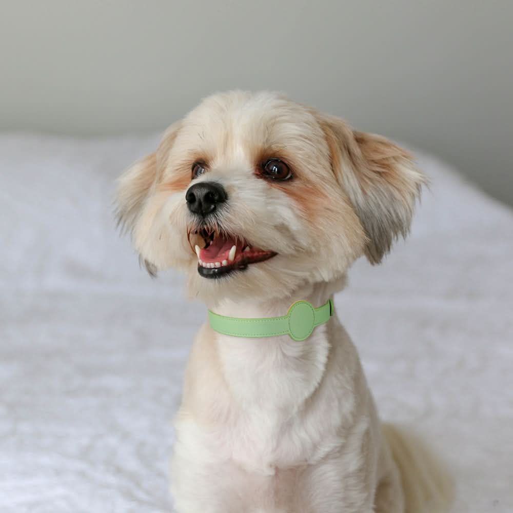 Maliben | Dog Collar with Integrated AirTag Holder for Safety & Style