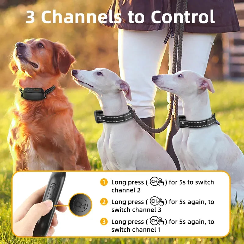 Maliben | ProTrain – Rechargeable Waterproof Dog Training Collar with Remote