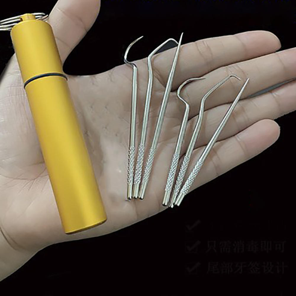 Maliben | Minty Portable Metal Toothpick Cleaner Set