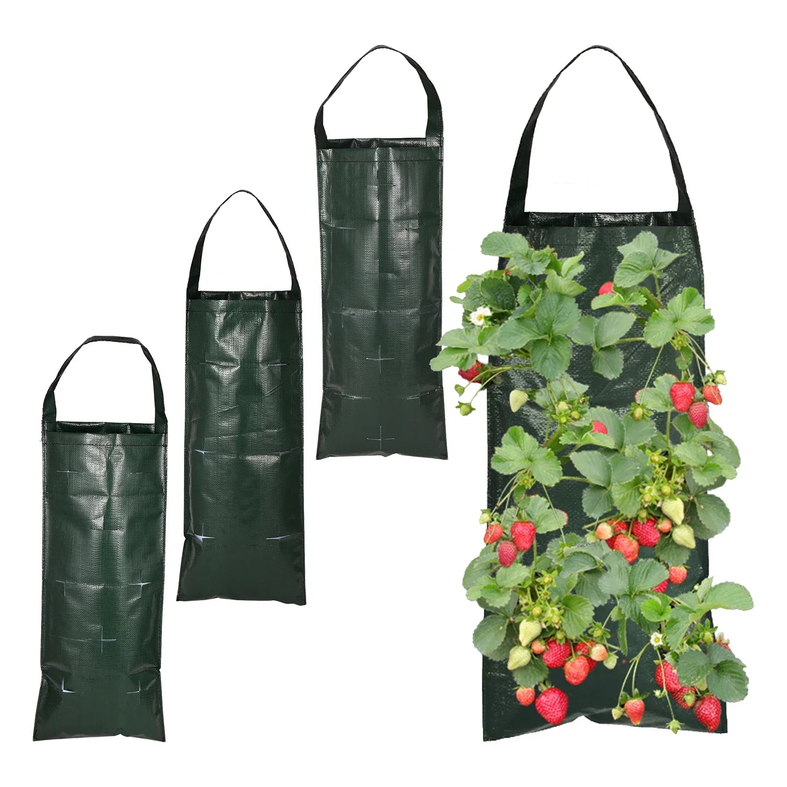 Maliben | Vertibloom Wall Planting Bag For Strawberries & Herbs | 6/8/10 Pockets | Vertical Garden Planting Bag Made Of Pe For Indoor & Outdoor