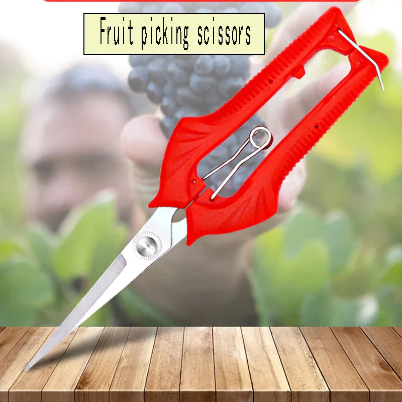 Maliben | Schnittwerk Garden Shears | Precise Cutting For Fruit Trees & Bonsai | Ergonomic & Sharp | For Harvesting & Pruning