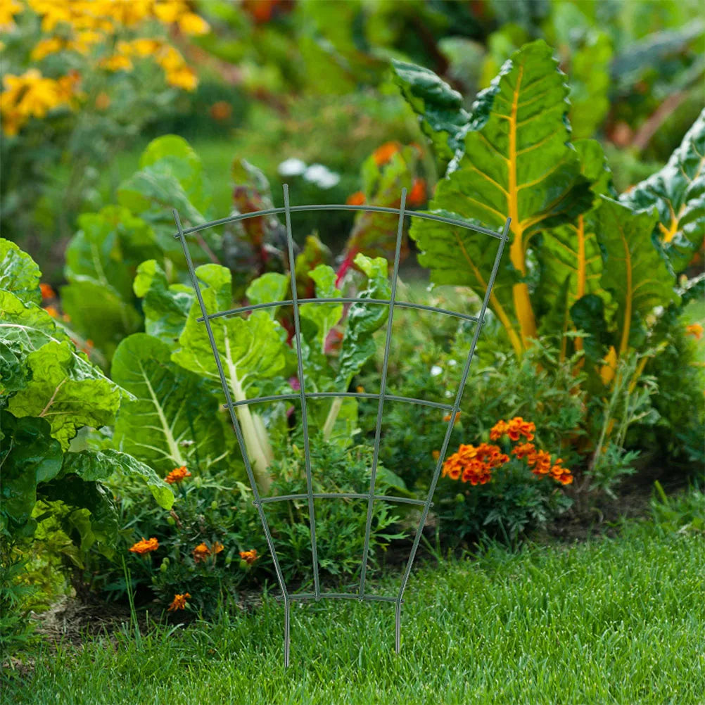 Maliben | Floranta Climbing Aid Set 3-Piece | For Flower Pots & Vegetables | Stable & Decorative | Green