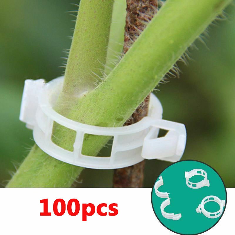 Maliben | Green Garden Safe Plant Support Clips