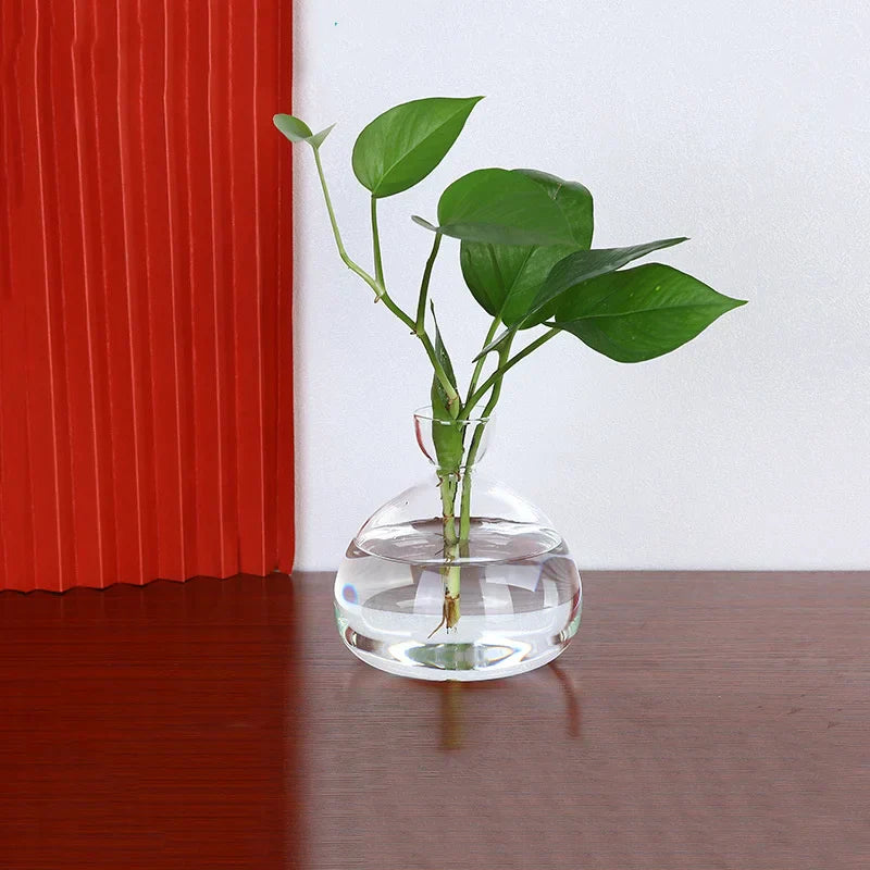 Maliben | Avocado Vase Glass | Transparent Germination Glass | Plant Container For Avocado Cultivation | 10–15 Cm