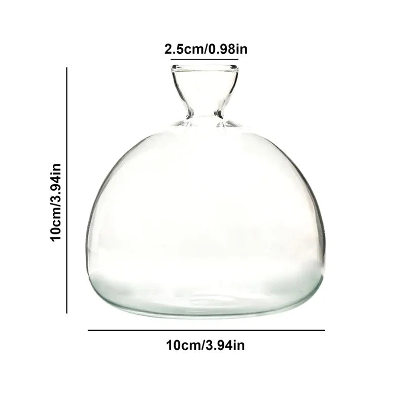 Maliben | Avocado Vase Glass | Transparent Germination Glass | Plant Container For Avocado Cultivation | 10–15 Cm