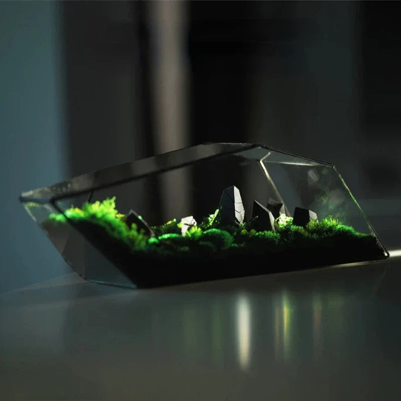 Maliben | Geometric Glass Moss Planter Terrarium Vase