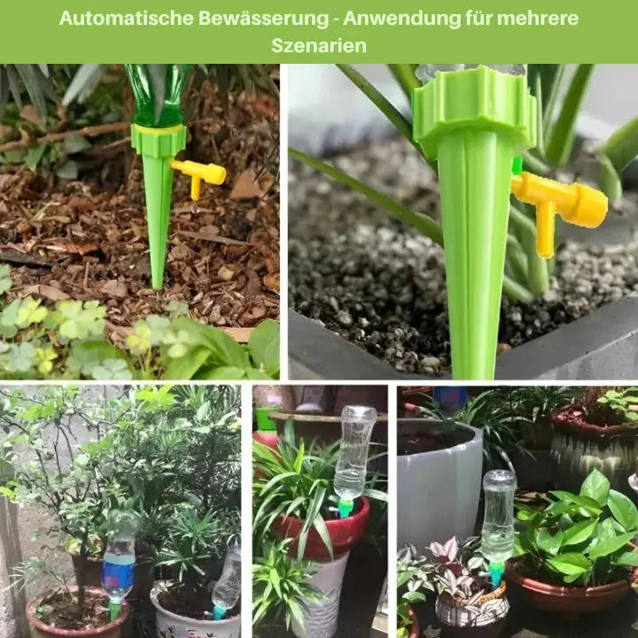 Maliben | Self-Watering Spike For Automatic Plant Care