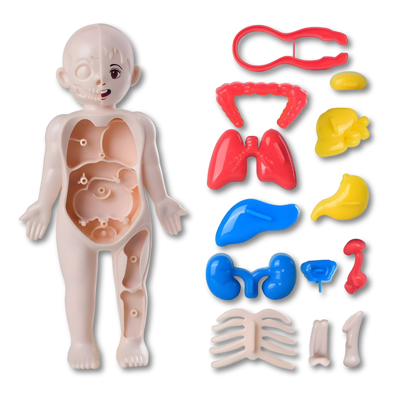 Maliben | Bodyly
