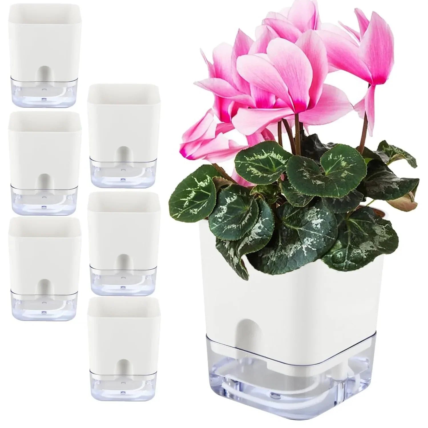 Maliben | Plant Pot Bloomease | Self-Watering & Space-Saving | With Water Level Indicator | For Indoor Plants & Herbs