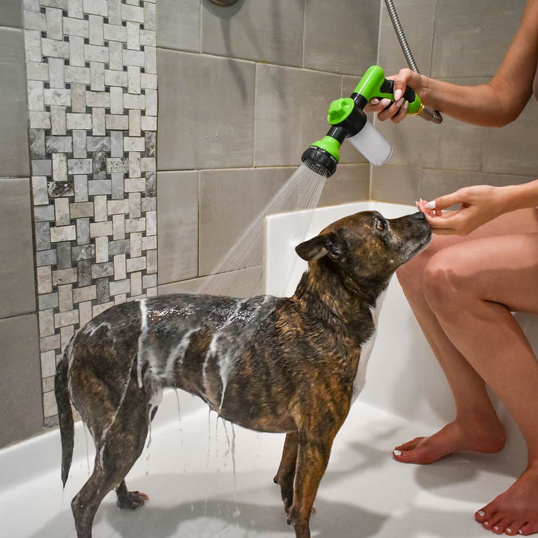 Maliben | Dogjet Pro™ - Effortlessly Wash Your Dog In Record Time!