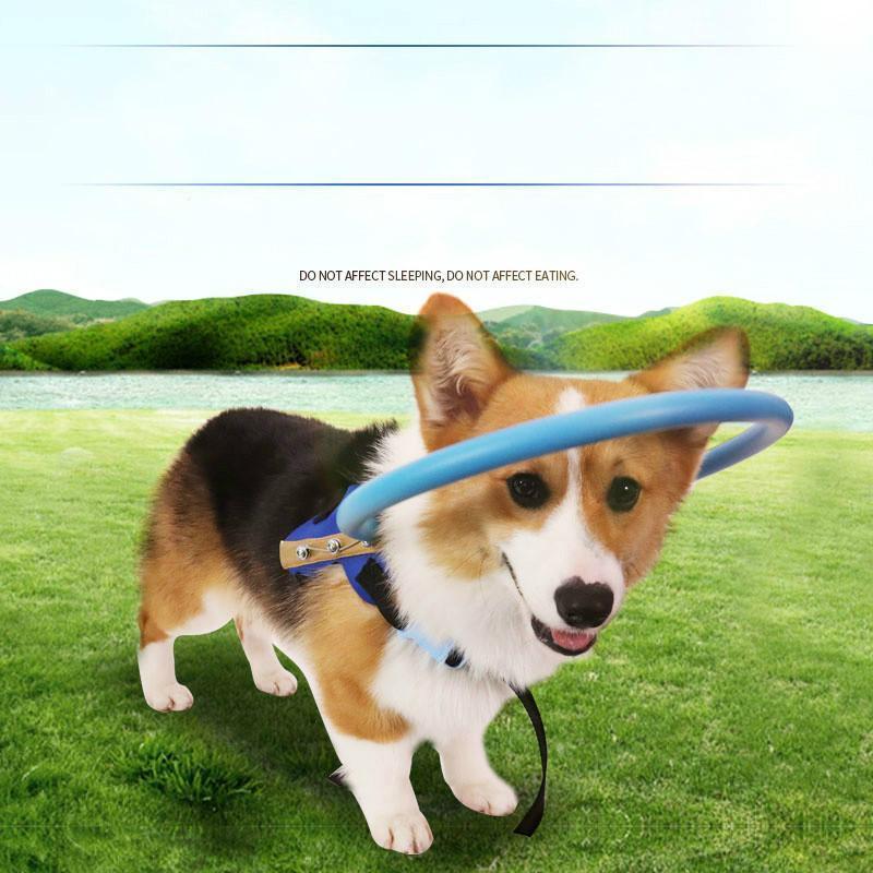 Maliben | Bumper Collar Guide For Blind Dogs Harness