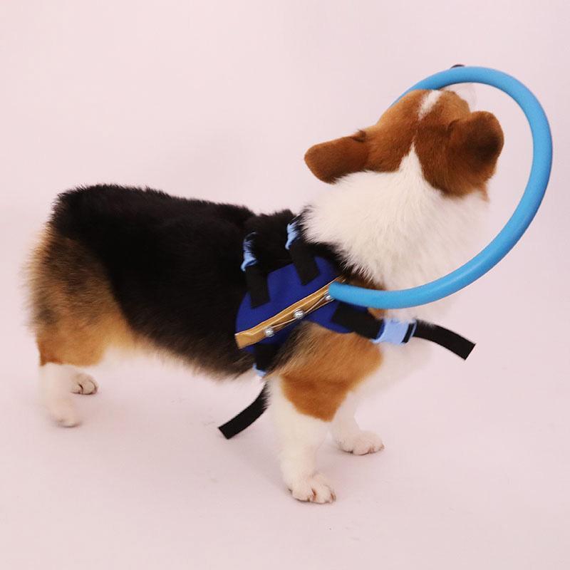 Maliben | Bumper Collar Guide For Blind Dogs Harness