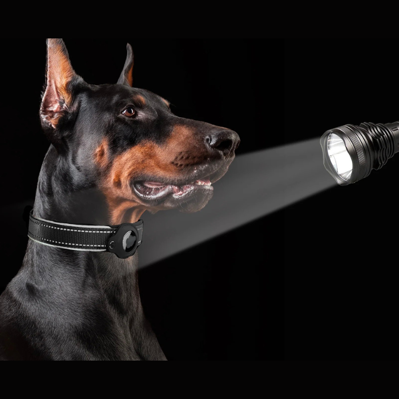 Maliben | LEAZO - AirTag Dog Collar