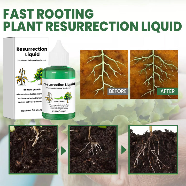 Maliben | Plantrevive | Give Life Back To Your Plants