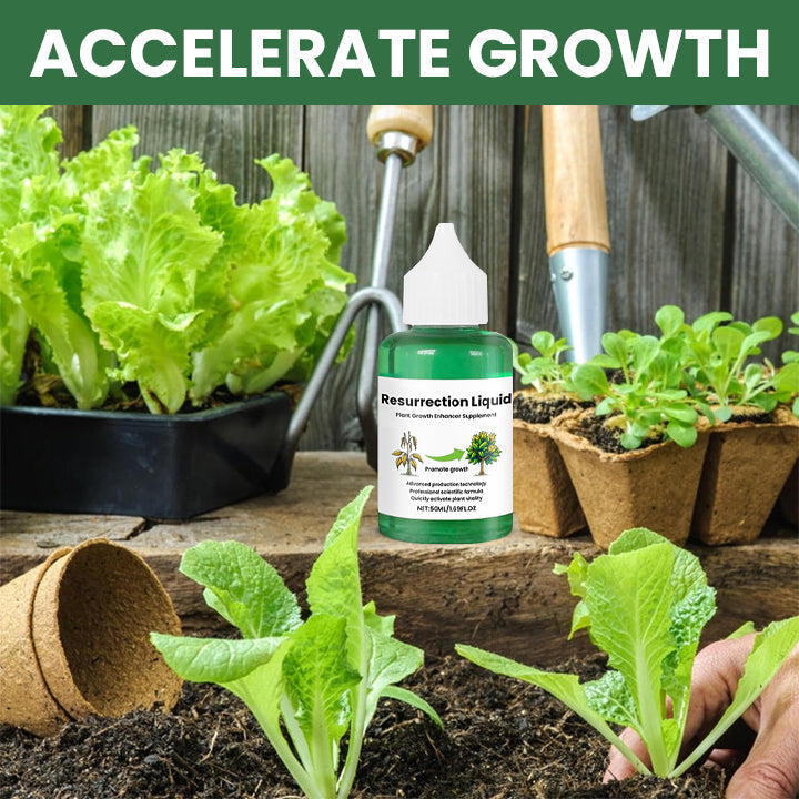 Maliben | Plantrevive | Give Life Back To Your Plants
