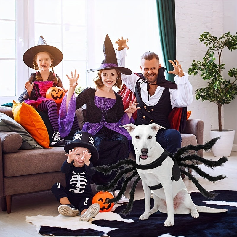 Maliben | Funny Furry Dog Halloween Costume | Spider Design