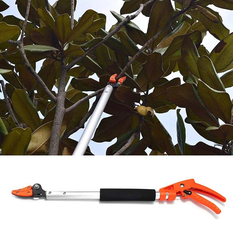 Maliben | Trimreach – Effortless Cutting Of Tall Hedges