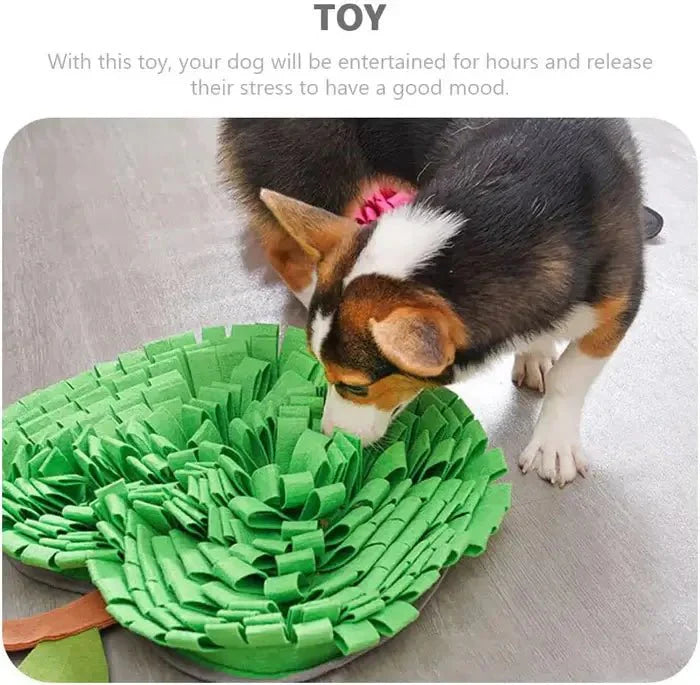 AppleForage • Dog Snuffle Mat