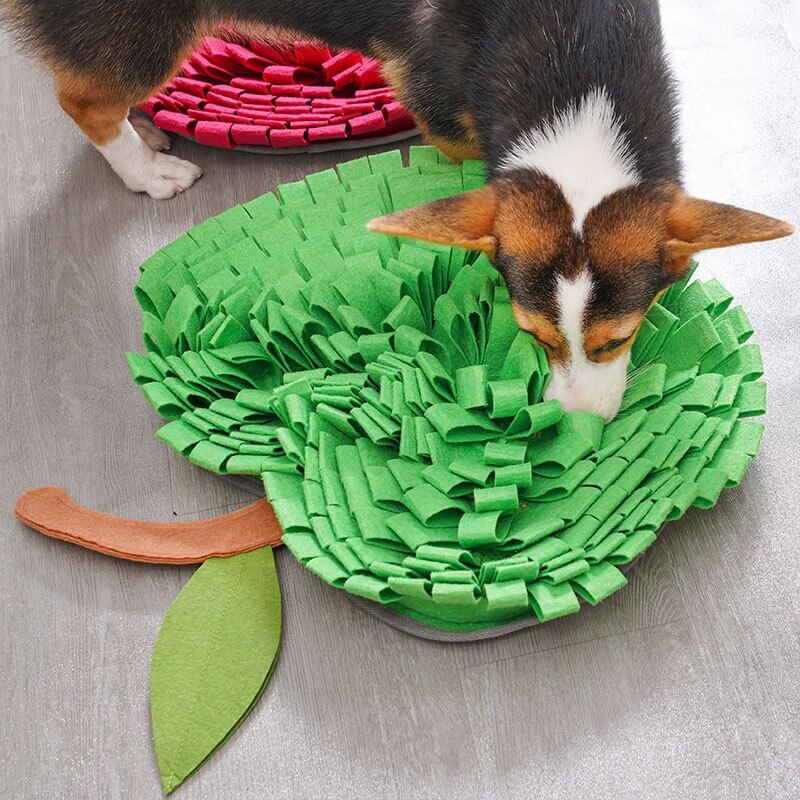 AppleForage • Dog Snuffle Mat