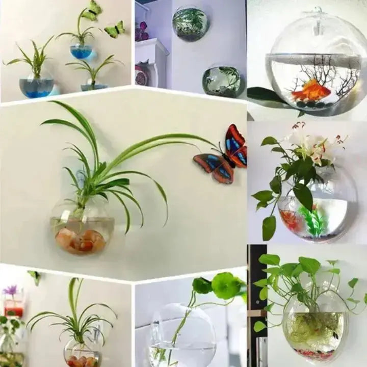 MAliben | WonderglAss — Give Your Walls a Fresh Kick For a Vibrant Home Without Effort