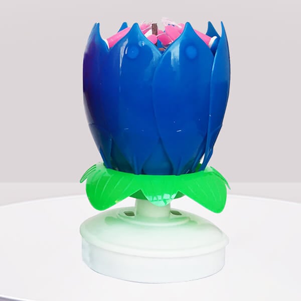 Maliben | 🎂Magic Flower Birthday Candle