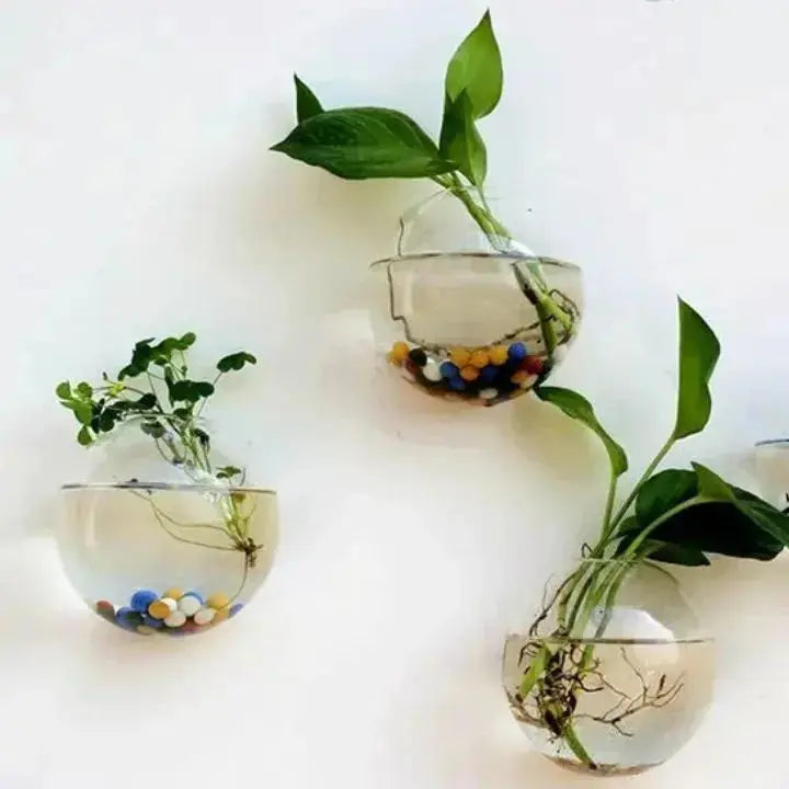 MAliben | WonderglAss — Give Your Walls a Fresh Kick For a Vibrant Home Without Effort
