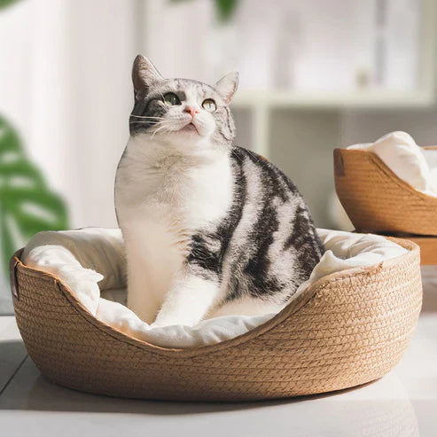 Maliben Bamboo Pet Bed — Breathable Bed for Dogs & Cats