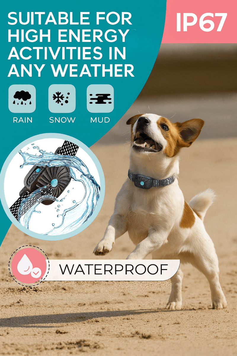 Maliben | BarkLess Nano – Gentle Anti-Bark Collar for Puppies & Small Dogs