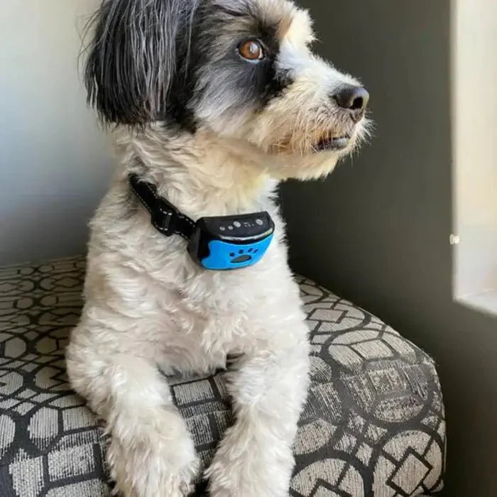 BarkTamer • Anti-Bark Collar