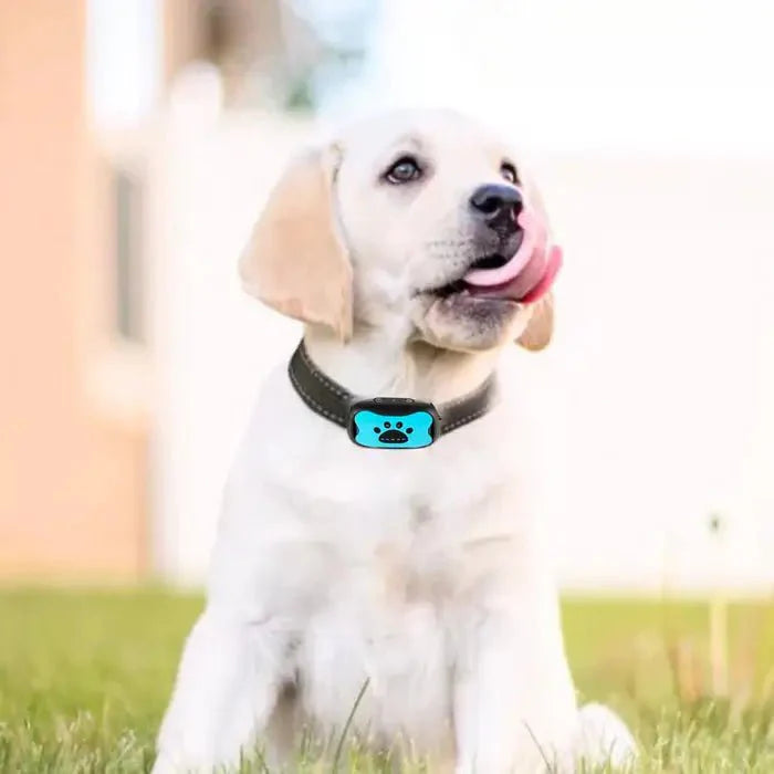 BarkTamer • Anti-Bark Collar