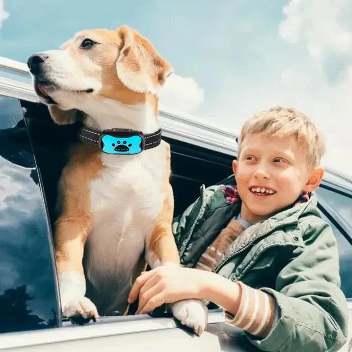 BarkTamer • Anti-Bark Collar