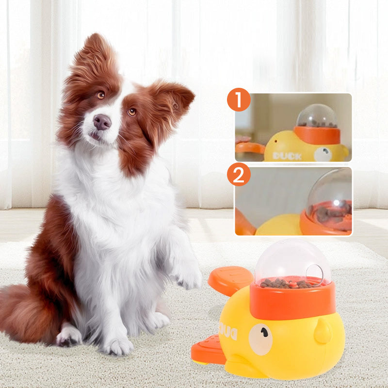 Maliben | Pawyum – Engage Pets And Keep Clean Floors During Feeding