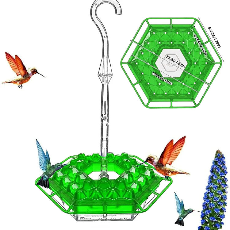 MAliben | Kolibrikracher — Create a Vibrant Bird Paradise Right In Your Garden!