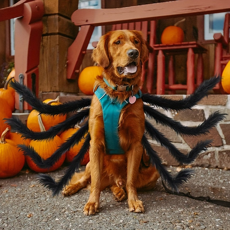 Maliben | Funny Furry Dog Halloween Costume | Spider Design