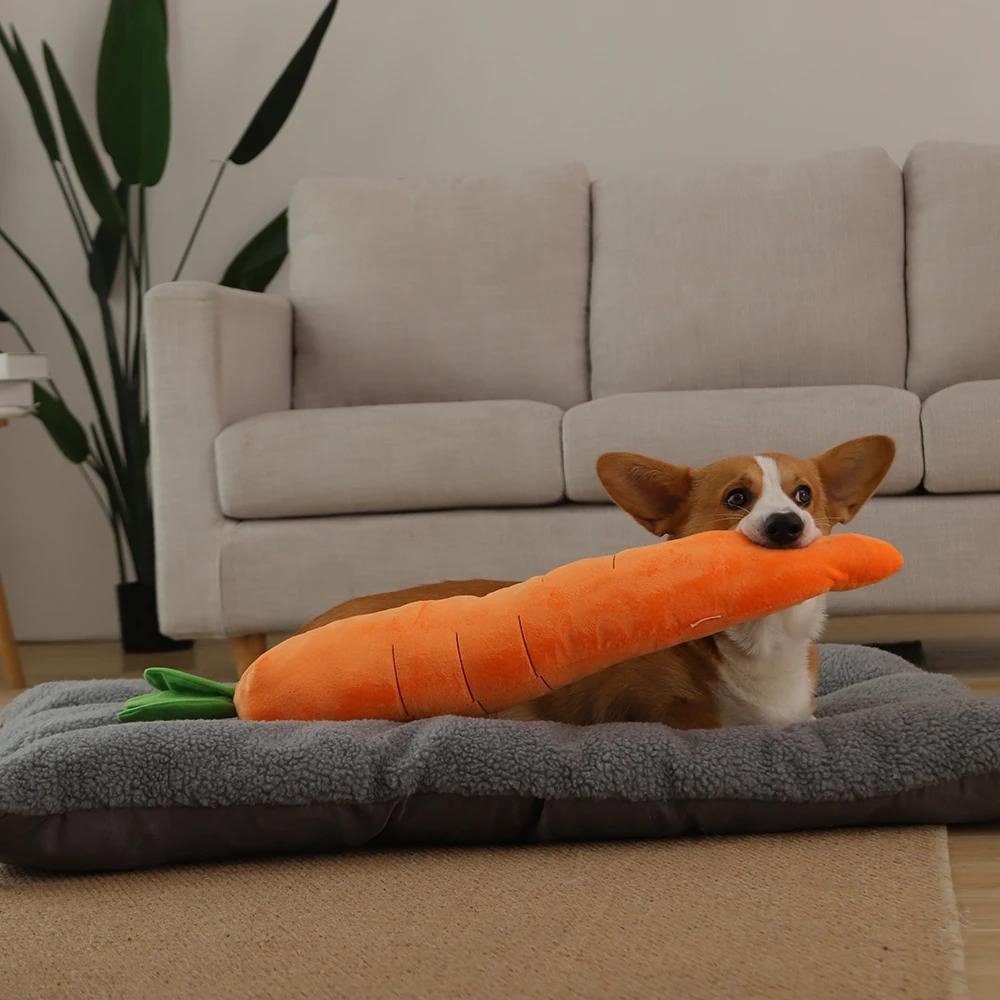 Carrotplush • Interactive Dog Chew Toy