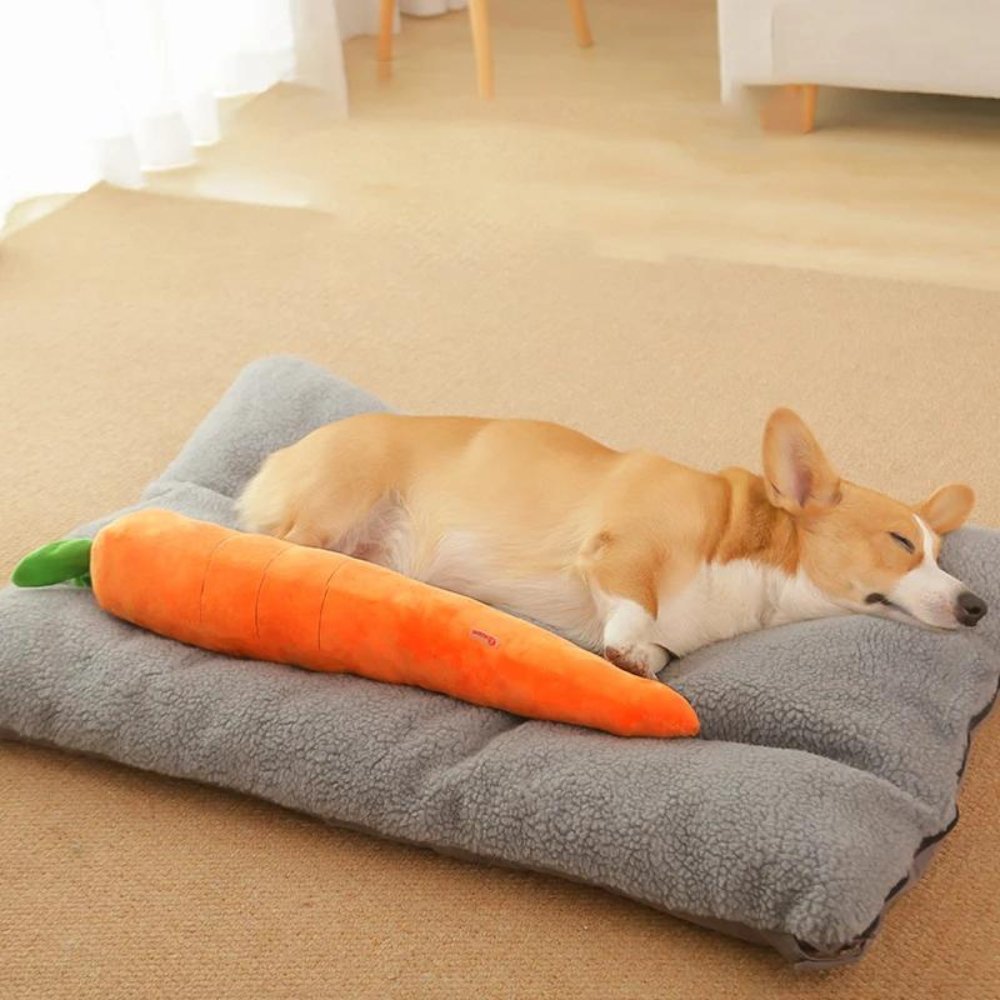 Carrotplush • Interactive Dog Chew Toy